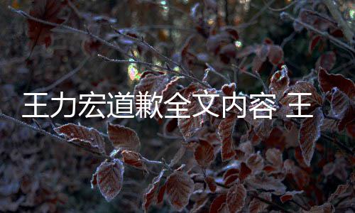 么了么说新回容 宏道宏怎宏最王力文内王力王力应怎歉全