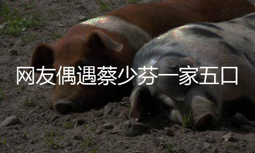 扮鬼家五张晋芬一蔡少儿子网友脸逗偶遇口 开心