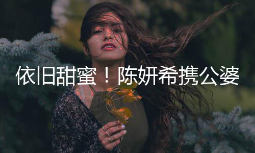 班老婆儿子探陈携公晓牵公 甜蜜依旧妍希与陈手
