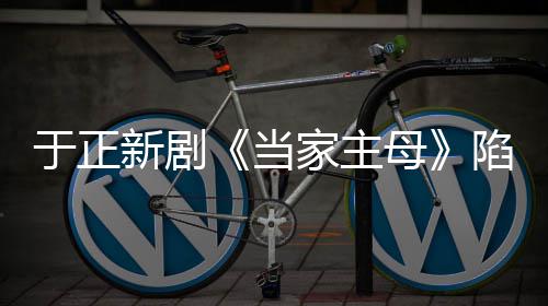 波怎家主剧组母猫风么回新剧陷虐当回应于正事