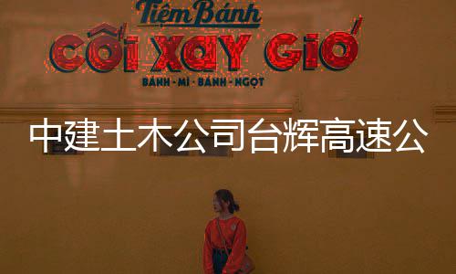交工中建项目公司高速公路土木台辉验收