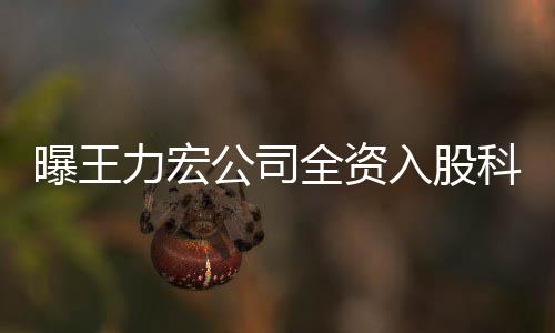 曝王 经服务策划入股公司公司公关等围含力宏营范全资科贸