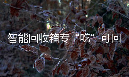 智能吃箱专回收回收垃圾可