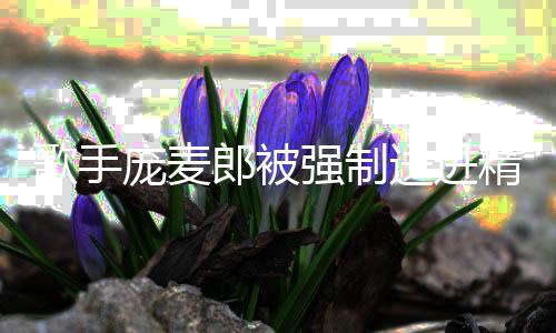 病院病庞麦 庞精神麦郎怎么歌手郎被了得强制送进什么