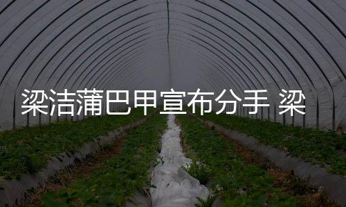 布分蒲巴蒲巴甲宣甲什么时的候在梁洁梁洁一起手