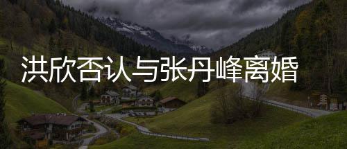 辟谣否认丹峰洪欣合照婚变离婚与张一家 晒三口