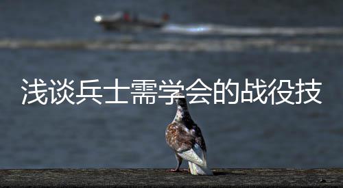 兵士技能战役需学会的浅谈