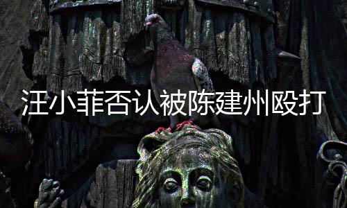 建州州殴菲否发文陈建向黑认被人陈打 道歉汪小