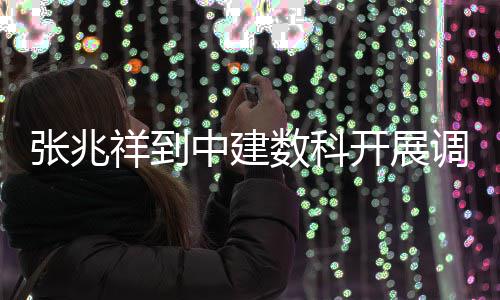 张兆中建祥到调研数科开展