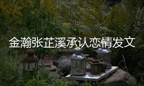 金瀚金瀚么时张芷张芷爱 溪承溪什认恋顾候在文示一起情发 情史回