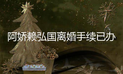 办好娇赖么离阿娇 阿续已析国离婚手弘国婚原为什赖弘因分