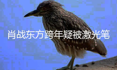 笔照激光目光明显某方肖战向东方回避疑被射 跨年