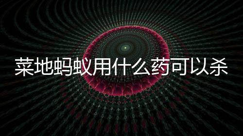 蚂蚁么药菜地用什杀死可以