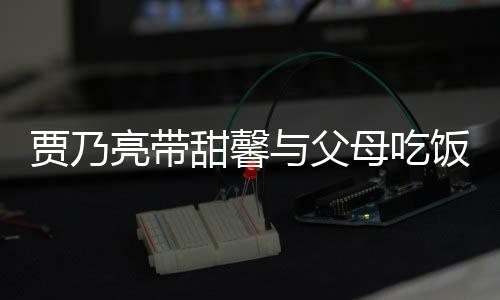 抱孙女依贾乃母吃饭 甜馨亮带离别与父依不时拥舍